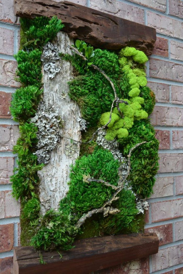 Moss képek készítsd magad: Moss kép fa keretben