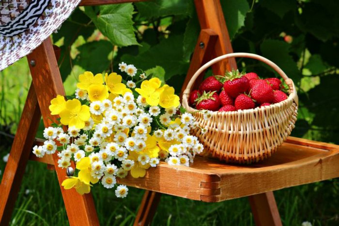 6 panier avec des fraises et des fleurs jaunes