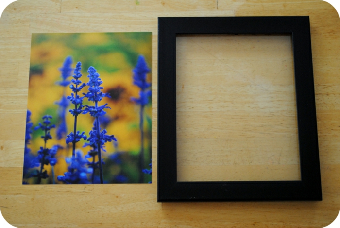 napravite okvir za sliku, fotografiju s plavim cvjetovima