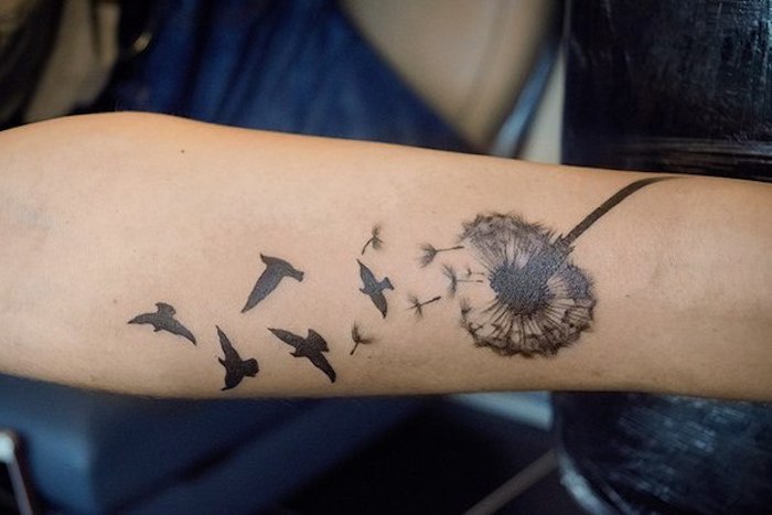 pitypang tetoválás fekete és szürke az alkar, tetoválás a nők