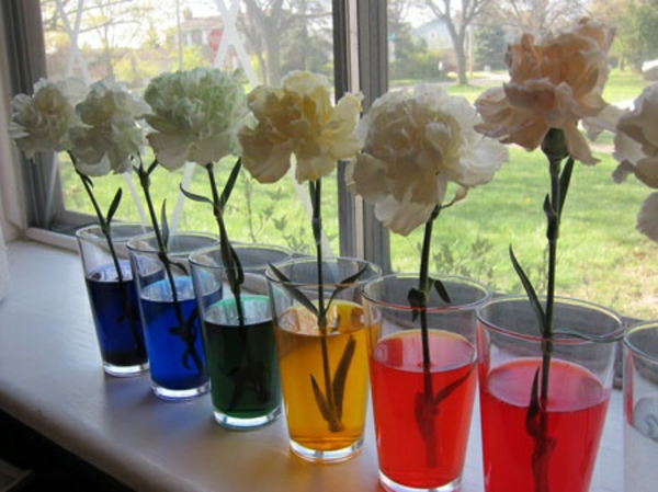 óvodai kézműves ötletek - fehér virágok a színes vízben - közvetlenül az ablak mellett