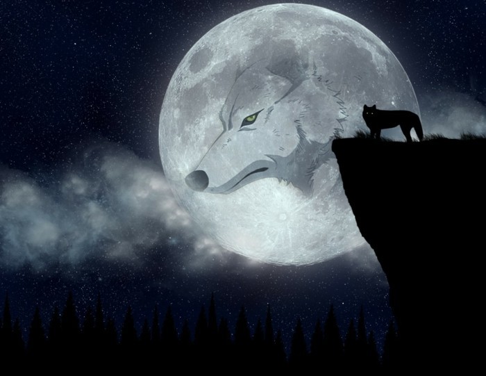 动漫壁纸，用最月亮和狼