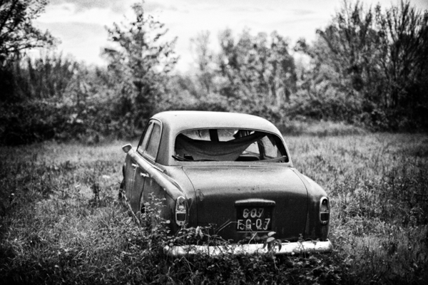crno-bijela fotografija automobila šuma