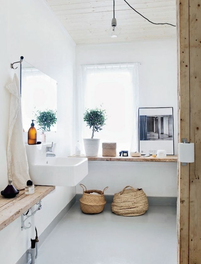 Kupaonica rustikalni stil ukrašavanja ideja saksiji biljka