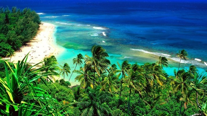 صور من المناظر الطبيعية على اساس هاواي الجزيرة
