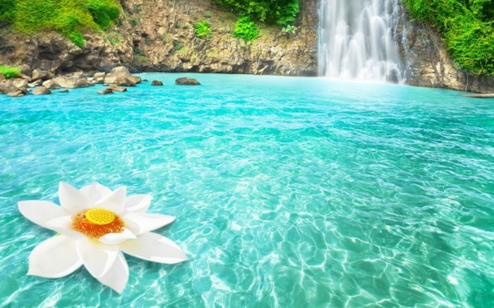 Снимка на водопадите-с-цвете