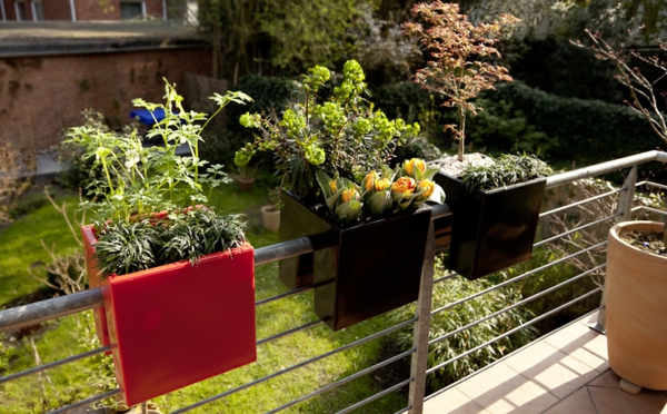 Boîtes à fleurs-pour-le-balcon-différentes couleurs