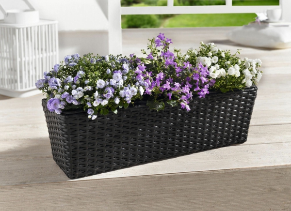 Boîte à fleurs-pour-balcon-en violet