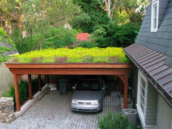Toiture de toit-terrasse design (2)