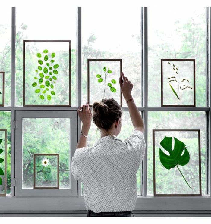 窗户图片在夏季和春季粘贴窗户玻璃