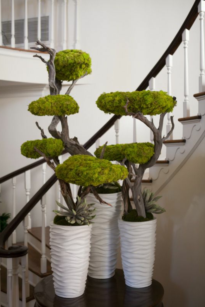 Koristeellinen katto-sammal-bonsei-puut-with-moss-