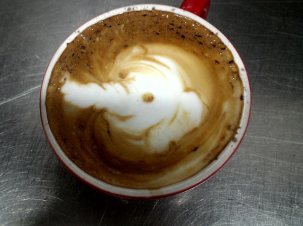 Слон пяна Украса на кафе творческа идея