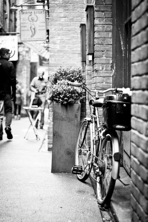 Ulica cvijeća za bicikle