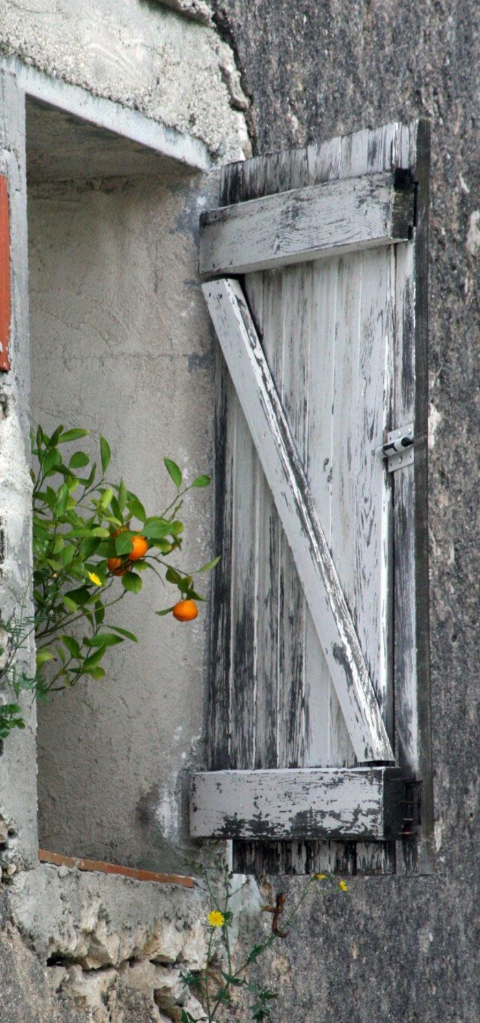 Prozor mandarinski grana drveta-berba trgovinama