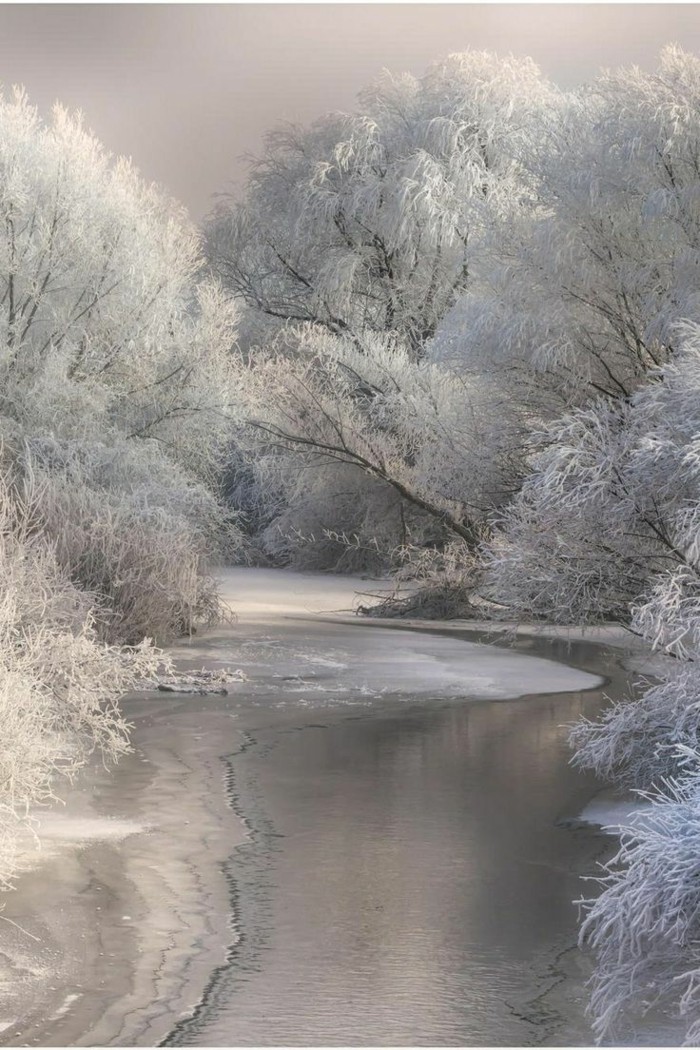 Fotografija sa zimskim motiva smrznutog-Lake-grana-pokrivena-s-snijegom