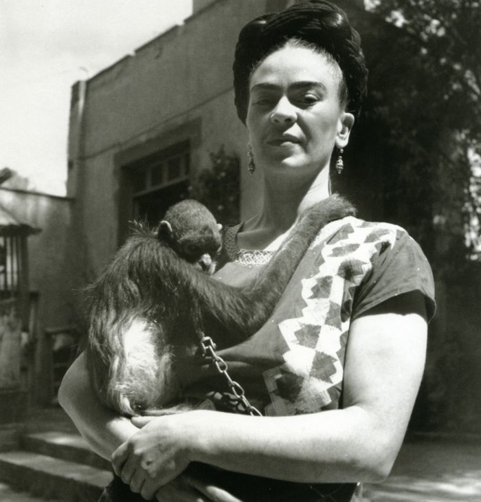 Frida Khlo-екзотични домашни любимци--Affe1