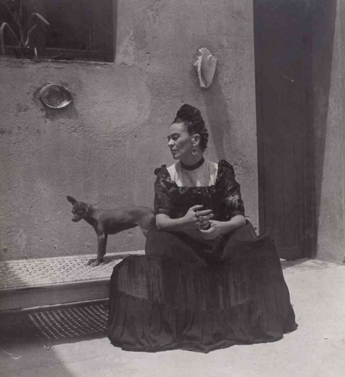 Frida Khlo Eksoottiset lemmikit-Dog