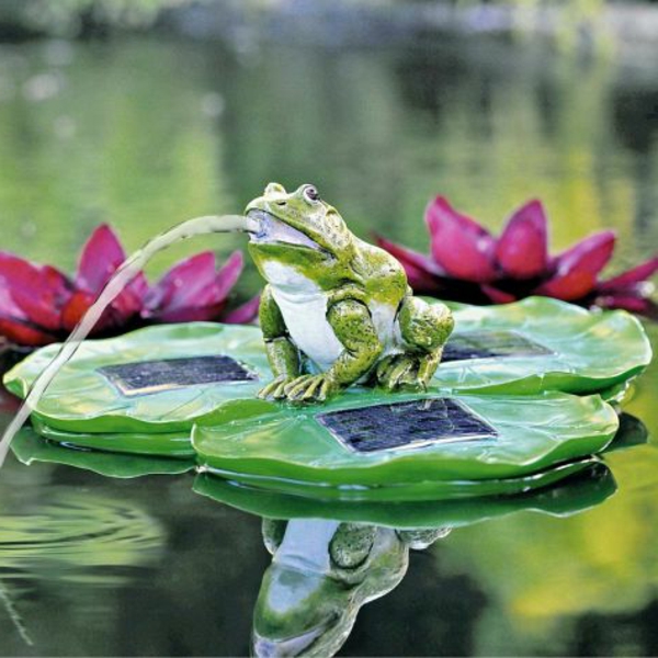 Žaba od-jednog-list Fontana u vrtu