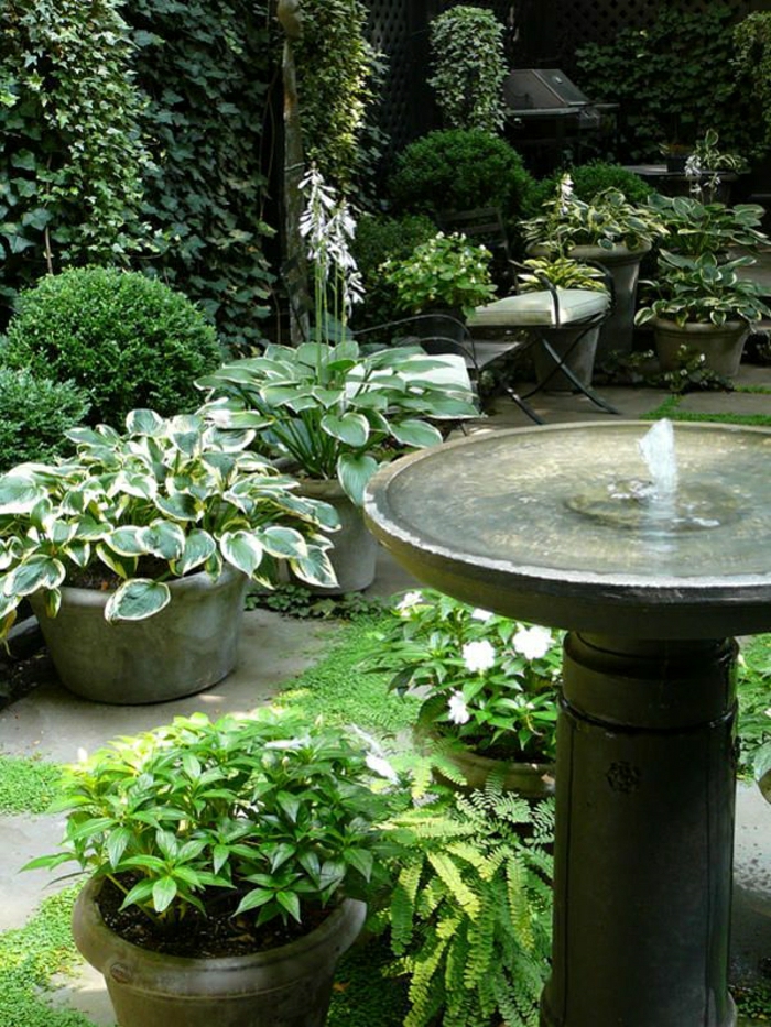 plante de jardin Pots fontaine d'eau