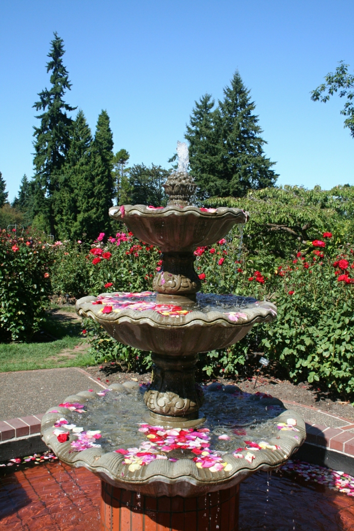 fontaine de jardin pétales de rose aristocratiques