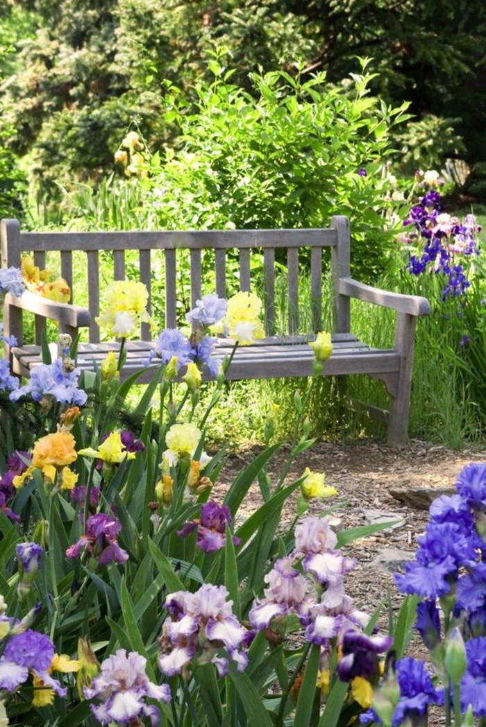 Градина с цветя и Purple-прост-дървена пейка