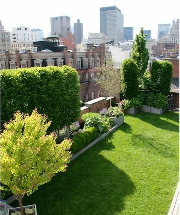 Градинска тераса с трева и дървета