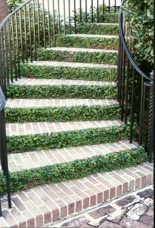 lijep vrt stepenice-Eksterijer-desogn ideja