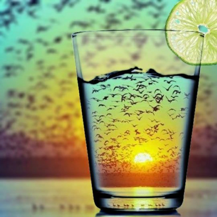 δροσερό εικόνες λεμόνι ποτό σμήνος πουλιών Sunset