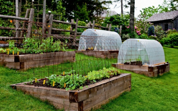 Invernadero rompevientos camas elevadas jardín madera-Ala-crean plantones de hortalizas