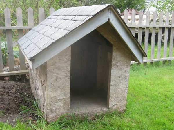 Hut-by-the-dog-a-it-yourself