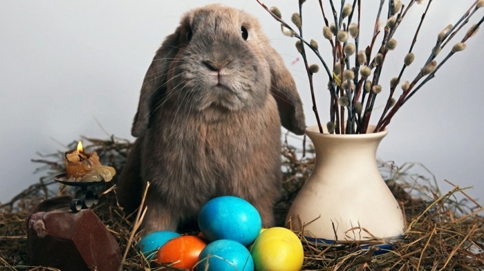 Fondo de pantalla de Pascua con un conejo entre jarrón y huevos