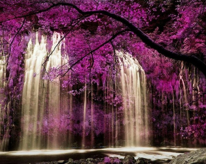 Wallpaper водопад с лилави растения