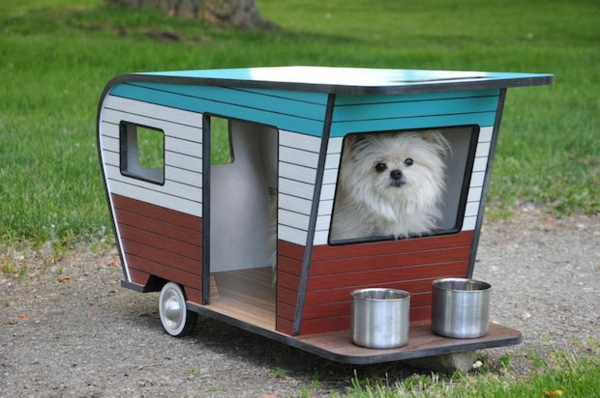 do it yourself Kennel