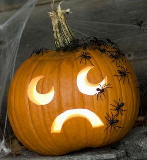 Kurpitsan Faces-Halloween kanssa hämähäkkejä