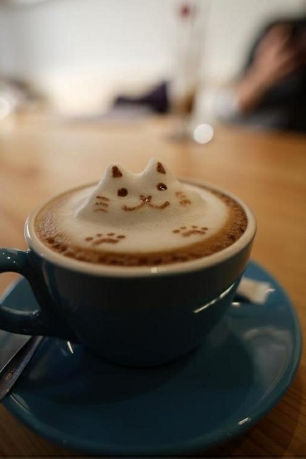 Кафе Декорация Cat на пяна красива идея