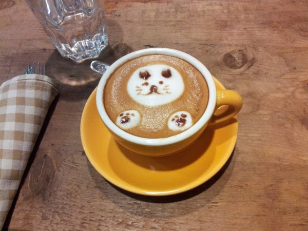 Mačka Kava lijepo slika ideja
