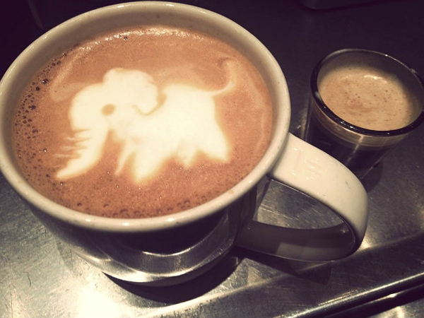 Vicces kávé tapéta elefánt-dekoráció ötlet