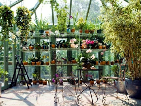 čine metalne stolice stol cvijet biljke-conservatory-