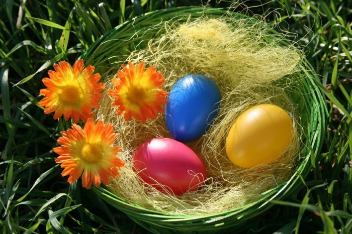 Pascua fondo de pantalla-con-flores-y-huevo-en-cesta