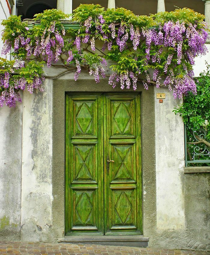 الزهور Piamonte إيطاليا الباب الباب خمر الخضراء