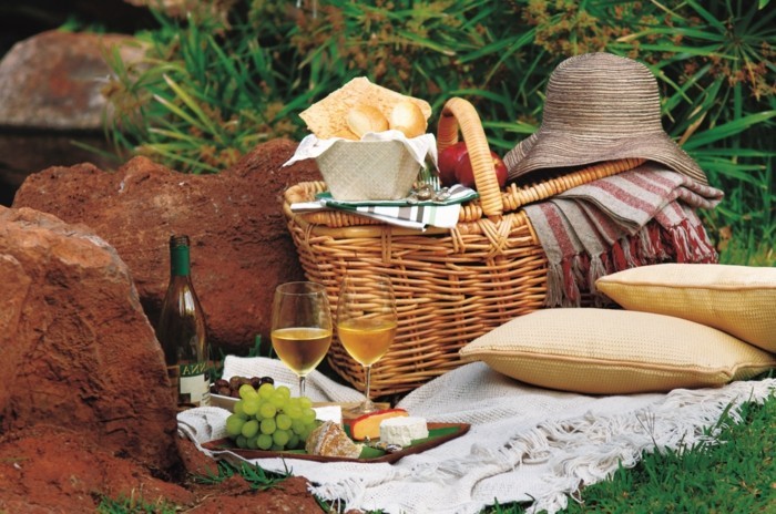 Piknik-vapaa-with-samppanjaa