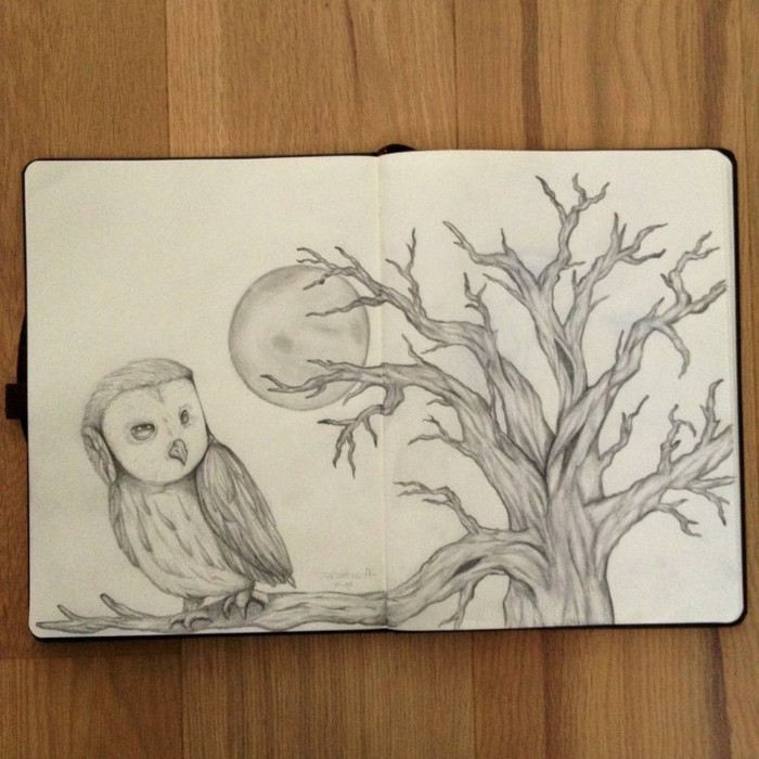 Kaunis piirustukset Pencil Owl