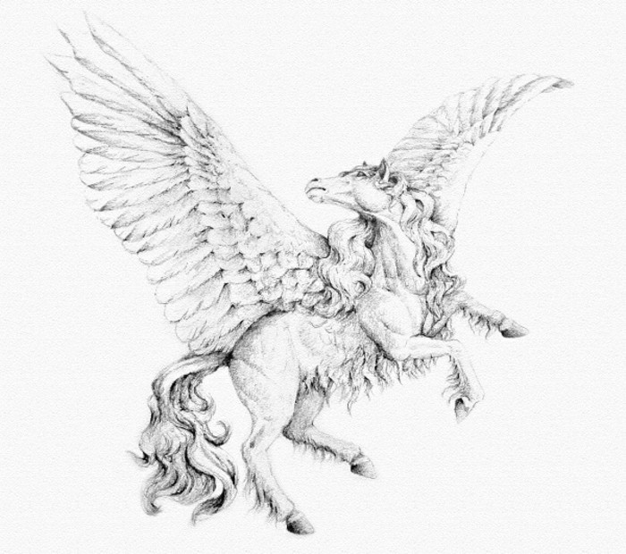 Kaunis piirrokset kynän Pegasus
