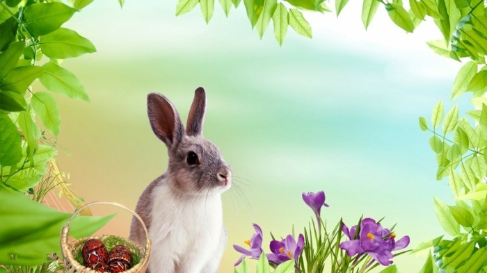 Lijepa Uskrs pozadina-sa-zeca i cvijeća