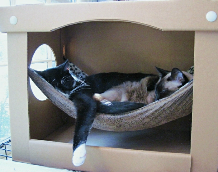 Box Cat Αιώρα-απλό-εύκολο εύκολο
