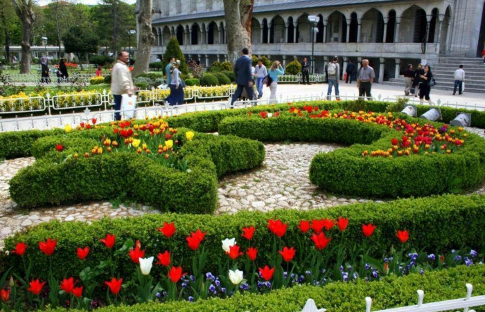 Atrakcije Istanbul-tulipani