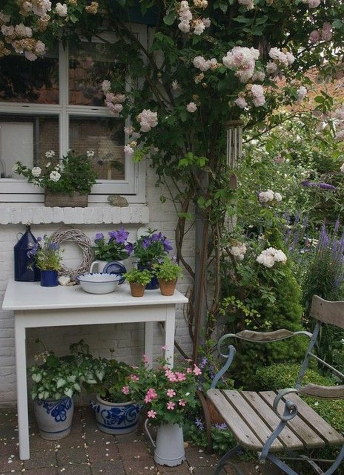 Опърпан Chic градина катерене рози-красива градина дизайн