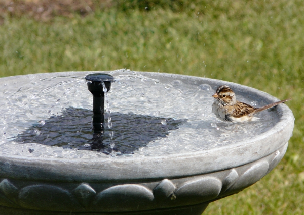Fontana solarni birdbath-u Garden solarne pumpe