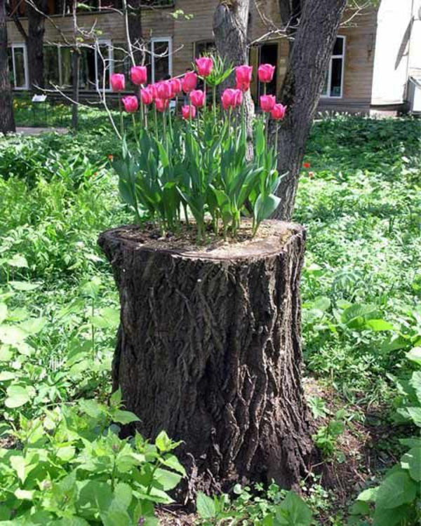 Tronc avec l'idée de tulipes-le-jardin-décoration