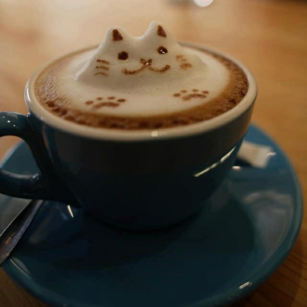 Šalicu kave sa-a-mačka iz pjene ukras ideje